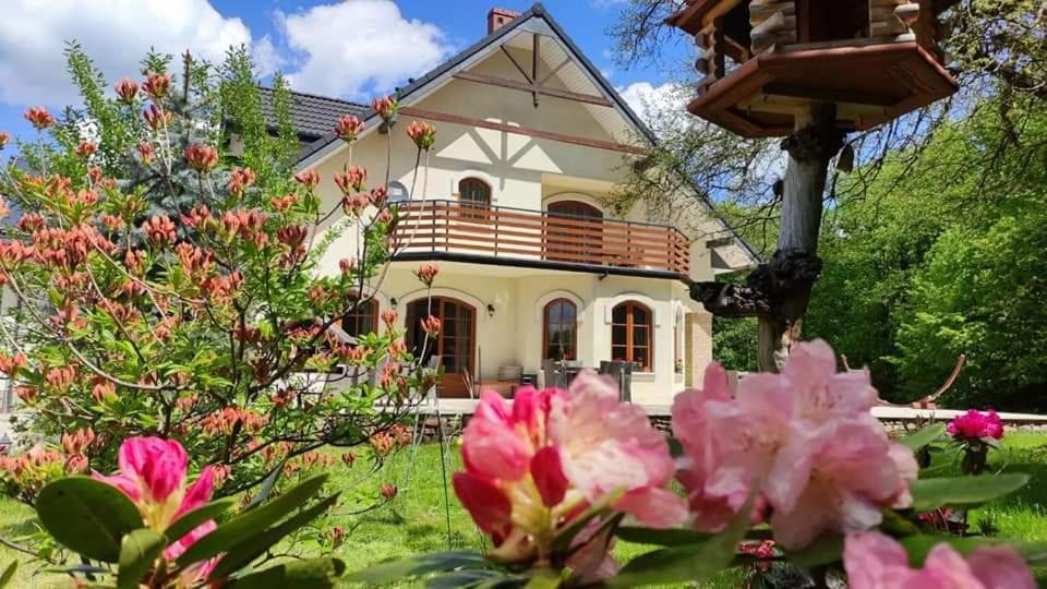 Willa Pod Zlota Morwa Swieta Katarzyna (Swietokrzyskie) Exterior foto